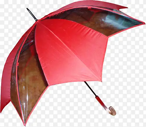 红柄雨伞