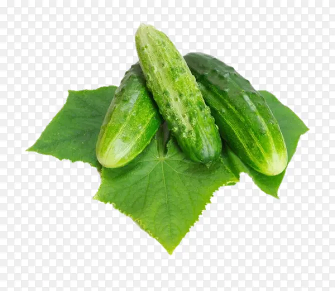 好吃简洁美食黄瓜藤免抠图