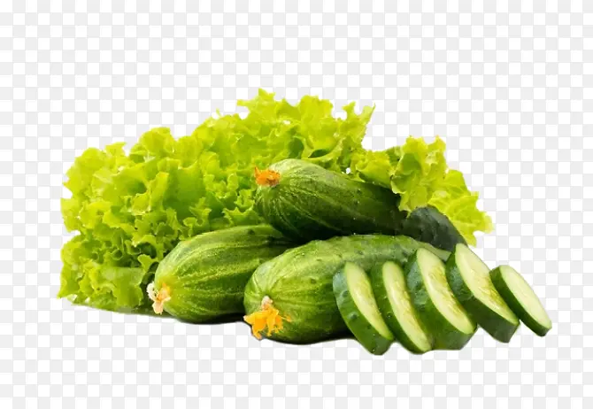 素雅美食黄瓜藤免抠图