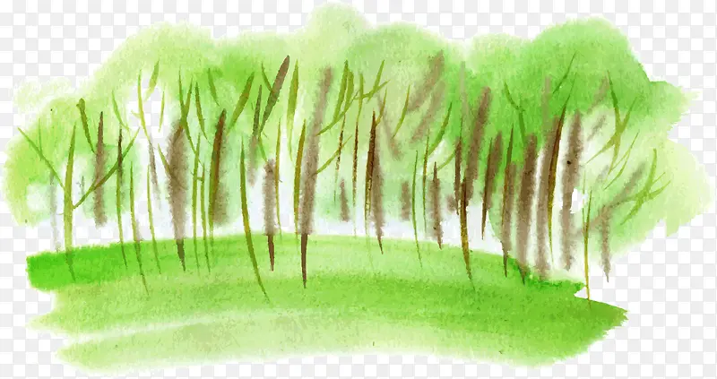 水彩绘树林