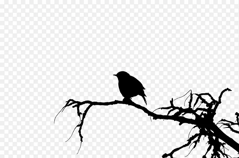 小鸟与枯枝
