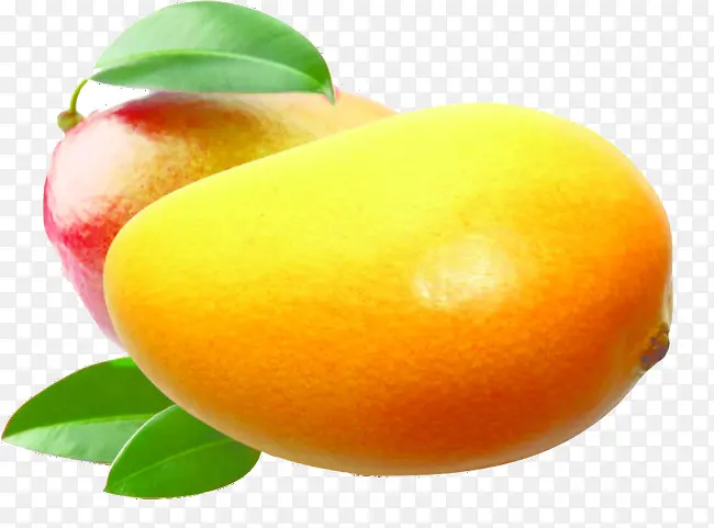 芒果椰子