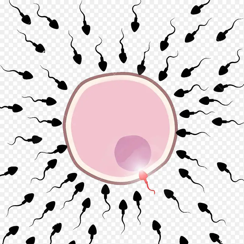 可爱生物卵细胞图形