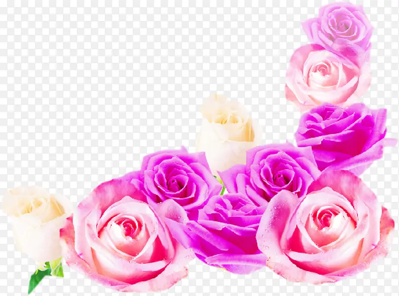 粉白色玫瑰绿叶装饰