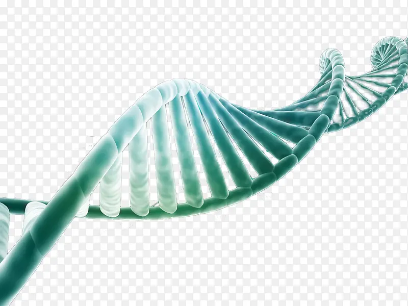 旋转的DNA