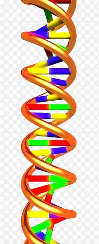 彩色立体DNA双螺旋基因链
