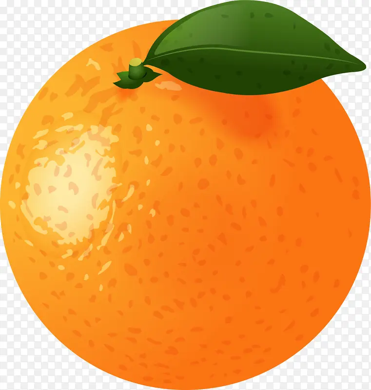 橙色立体卡通橘子