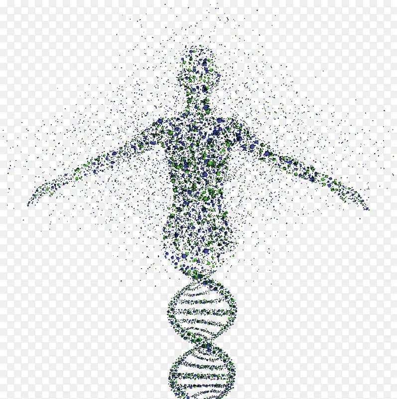 DNA人体遗传图片