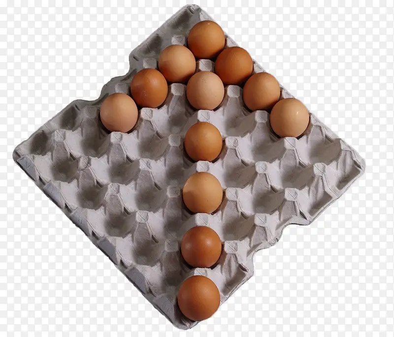 鸡蛋纸桨包装托盘