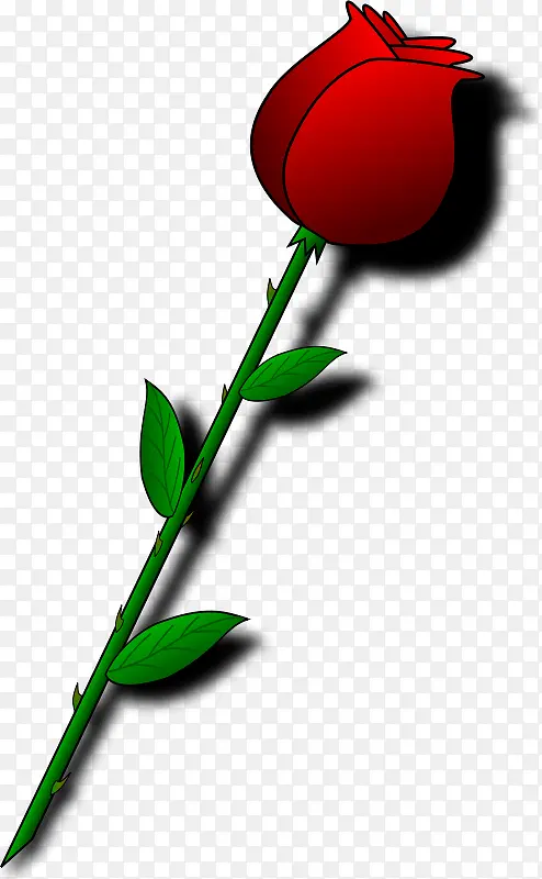一束红色的美丽玫瑰花