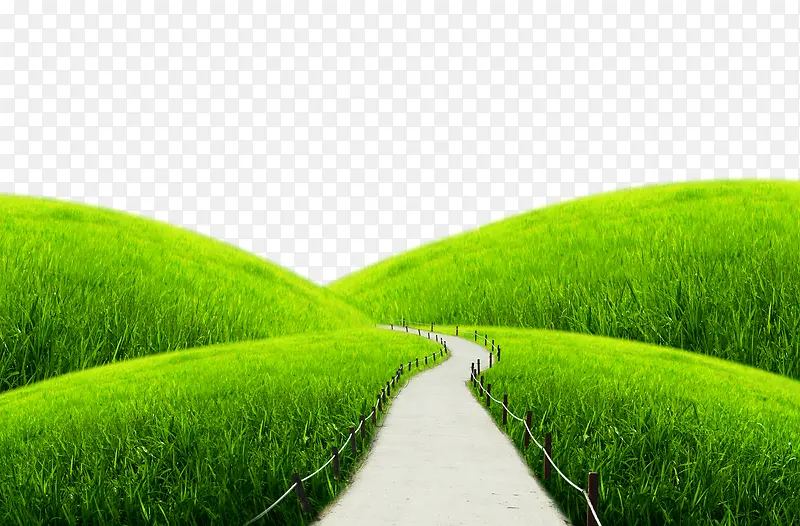 绿色草坪小路边框纹理