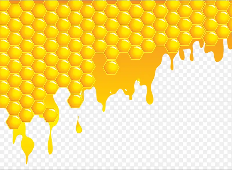黄色蜂蜜矢量图