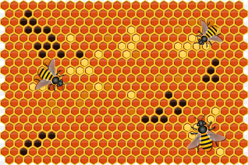 蜜蜂与蜂巢矢量图