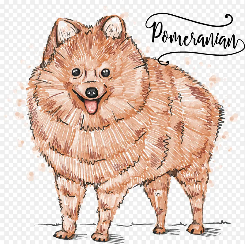 可爱博美犬矢量图