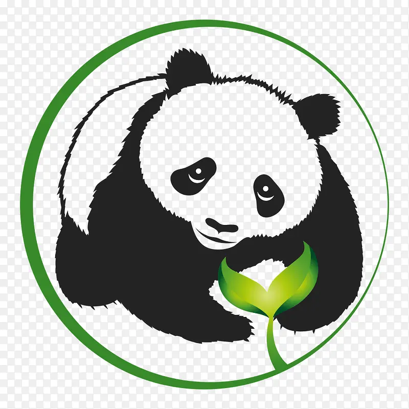 吃绿叶的熊猫