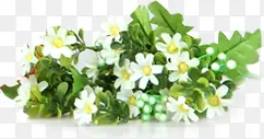 中秋节模糊绿叶白色小花