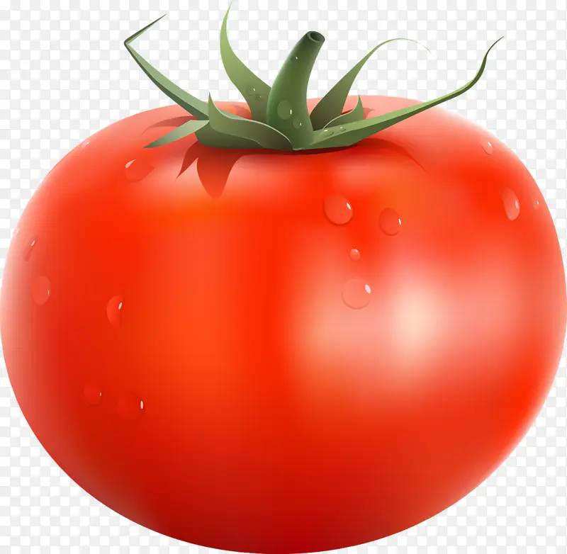 红色番茄