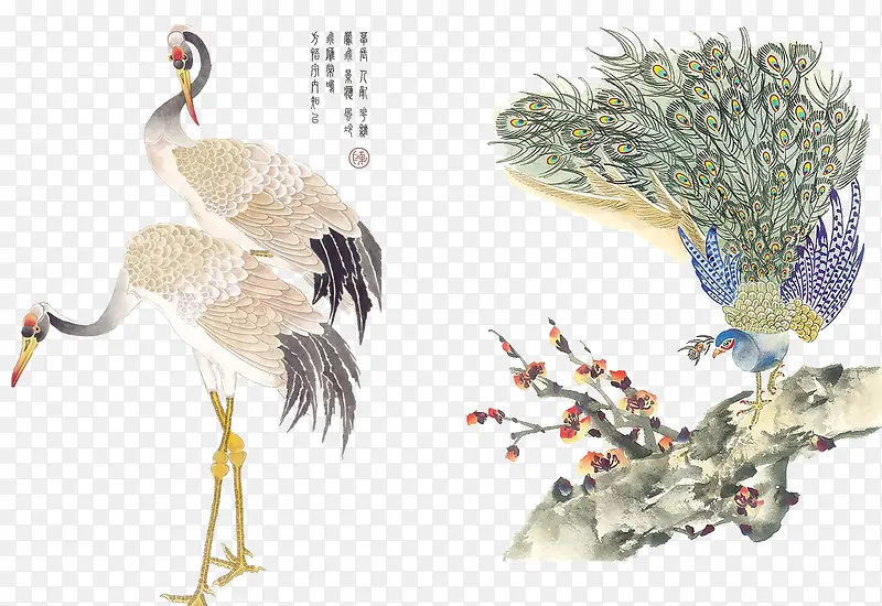中国风花鸟素材