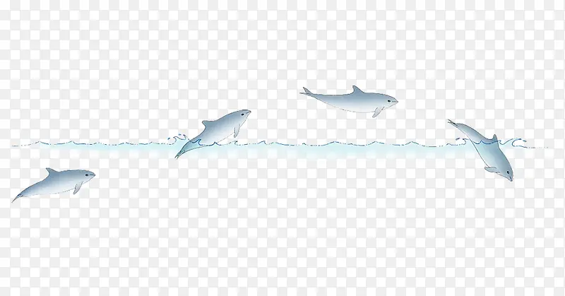 小清新海豚插画