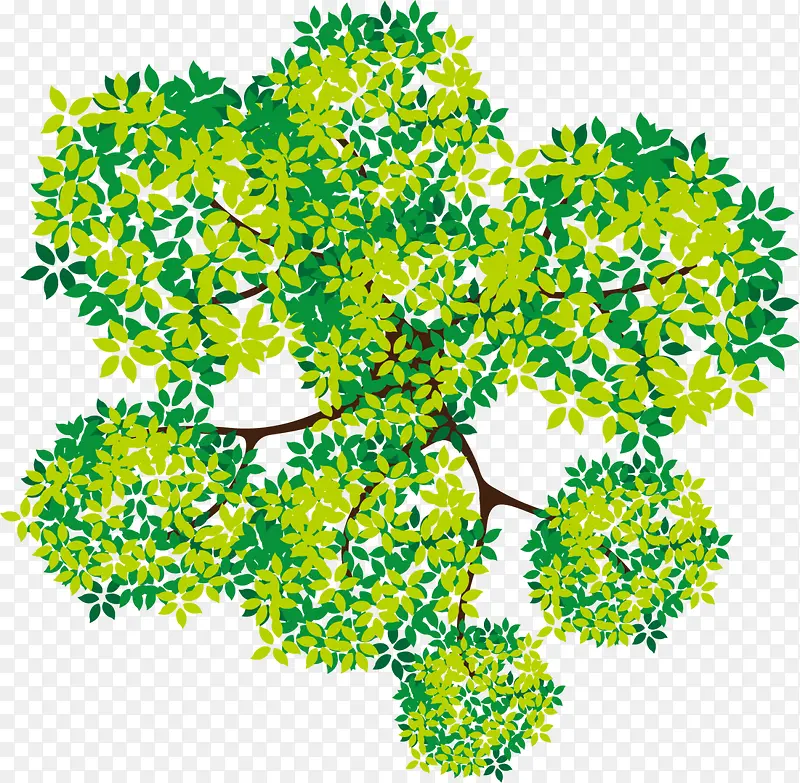 绿色春季树顶树枝