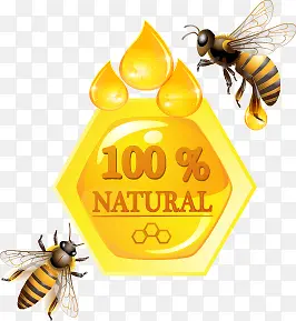 100%蜂蜜图标