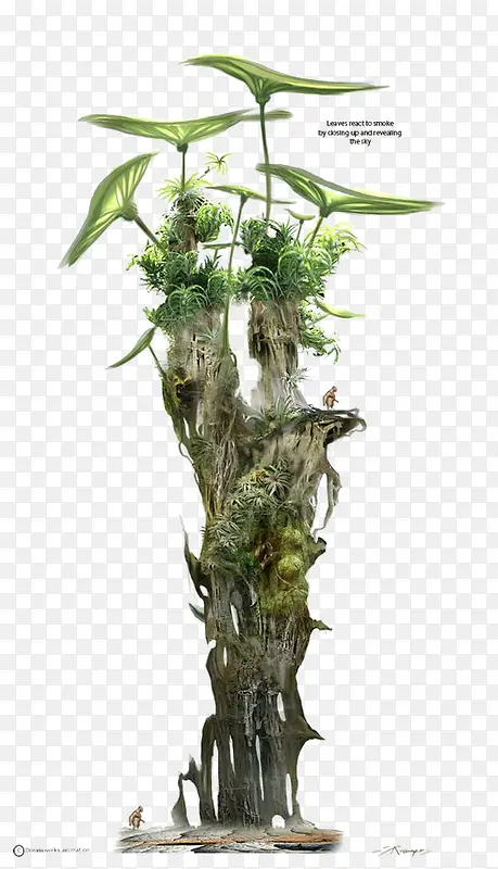 创意植物