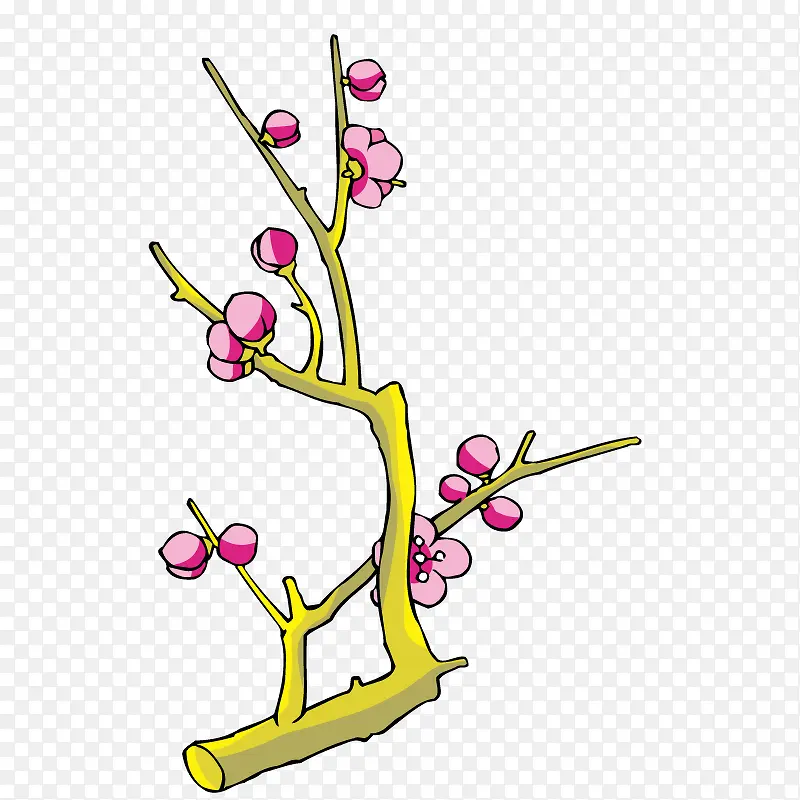 无叶梅花