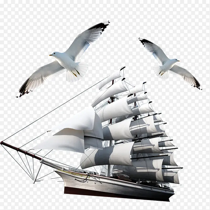 帆船海鸥