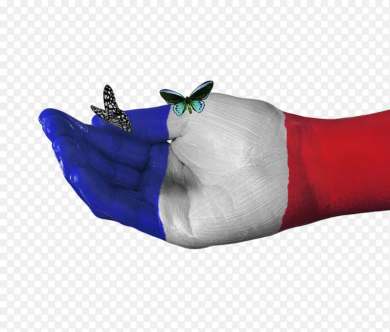 法国国旗手绘蝴蝶图案