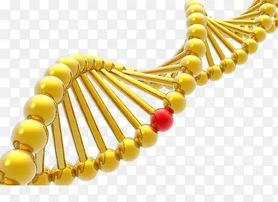 金色螺旋DNA