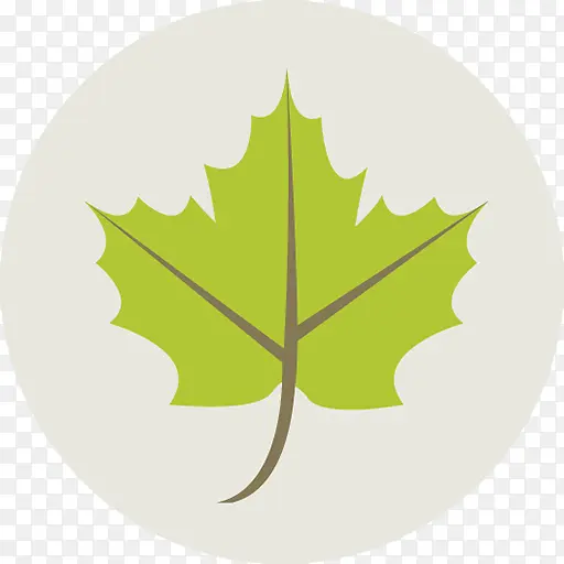 生态叶Travel-Ecology-iconsPNG图片素材下载_图片编号yezmjvgp-免抠素材网