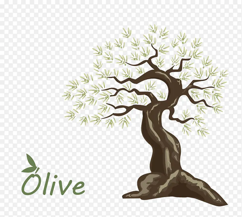 手绘橄榄树