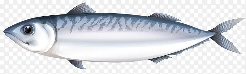卡通版的灰色的梭子鱼