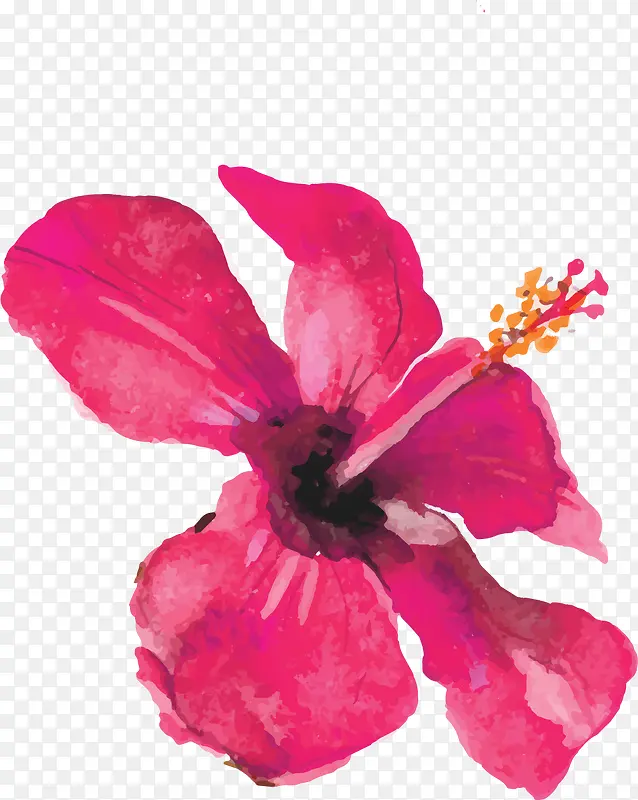 创意水彩花卉装饰插画