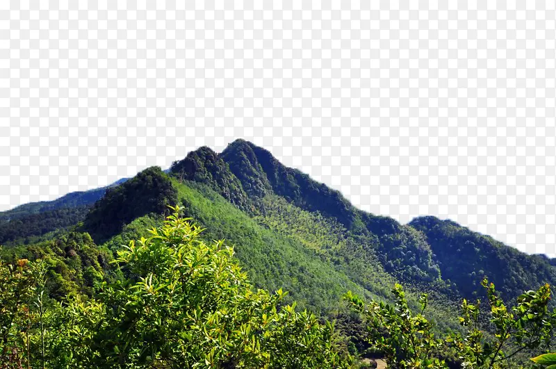 重庆永川茶山竹海风景