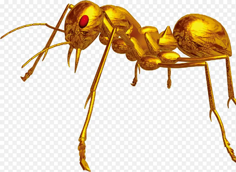 金色金属蚂蚁