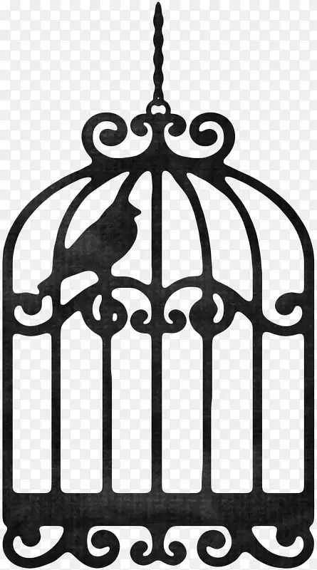 黑色漂亮小鸟鸟笼
