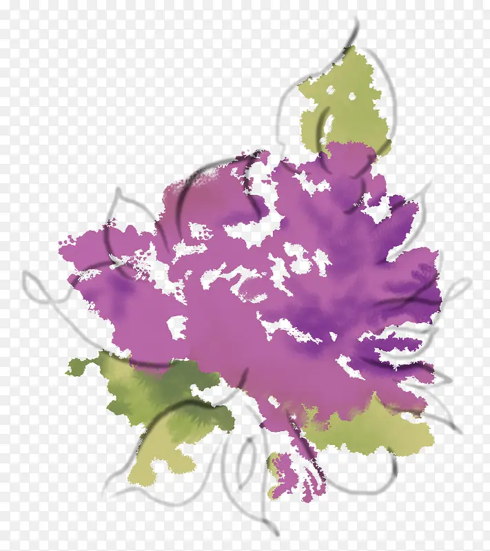 紫色油画海棠花