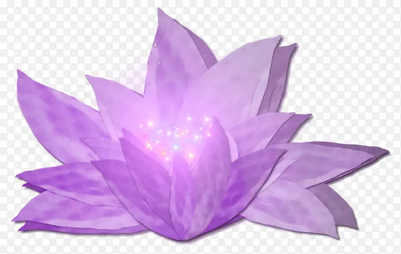 紫色发光的花