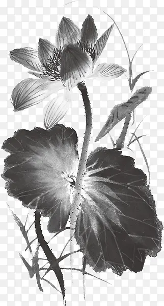 中国风海报黑色绘画植物莲花效果
