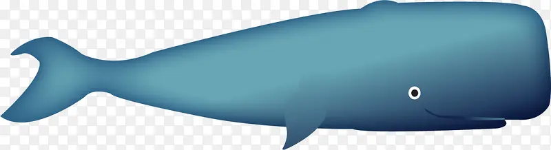 蓝色卡通大海鲸鱼