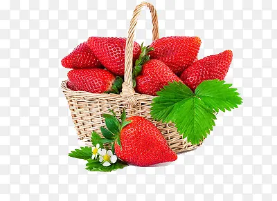 一个竹篮里放满了大颗的新鲜草莓