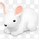 兔子复活节兔子Easter_lin