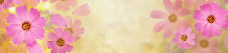 矢量花纹五彩花瓣banner