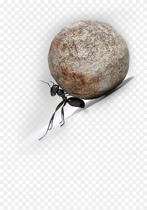 励志教育奋力抵挡石头的蚂蚁