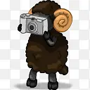 摄影师羊aries-icons