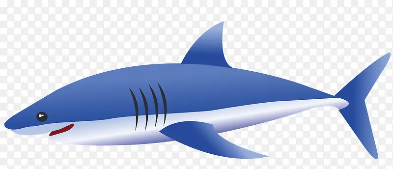 蓝色大鲨鱼