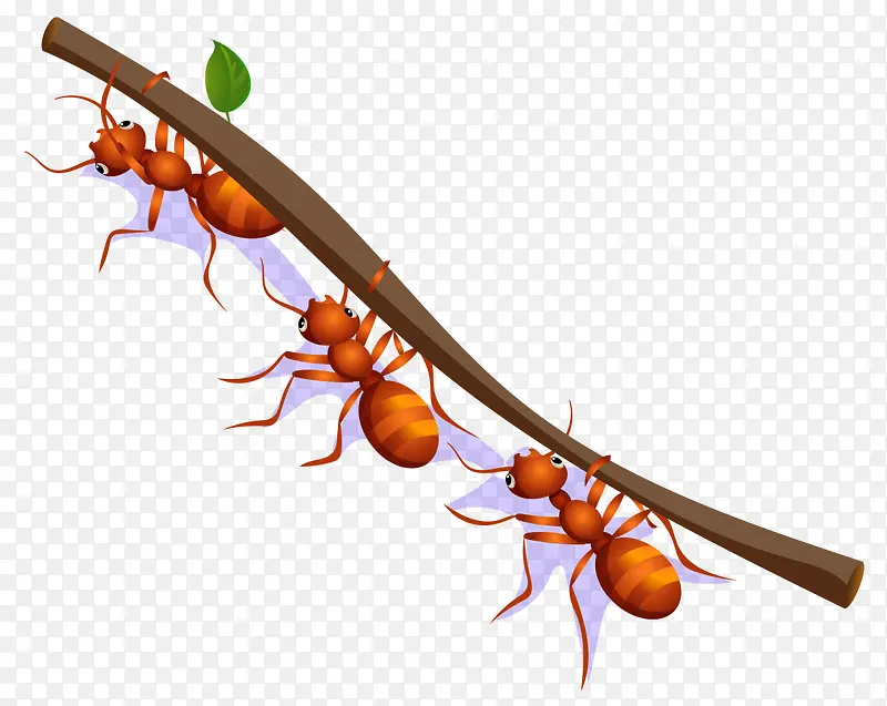 卡通手绘红色蚂蚁搬树枝