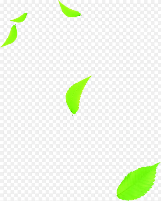 清新叶子企业环保画册