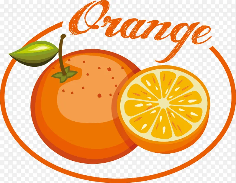 水果标签矢量素材--橙子